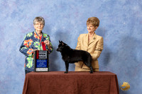 #34 OB2nd  Judge Doris Cozart