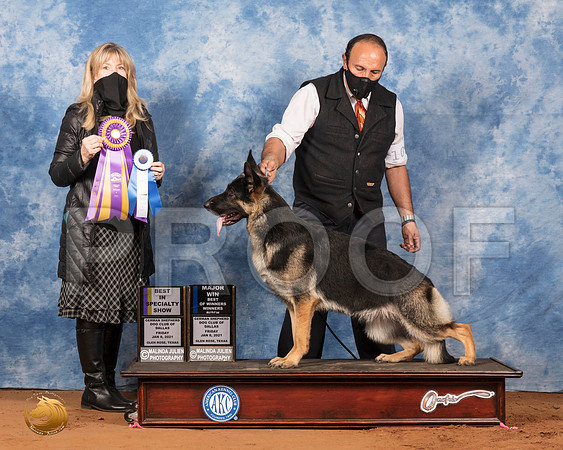 German Shepherd Dog #18 Fri WBBOWBISSMaj Judge Sheree Moses_SR_6515_GlnRs21_HR3
