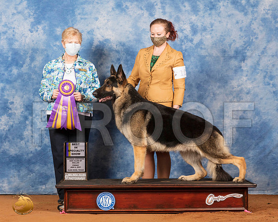 German Shepherd Dog #11 Fri BISS Judge Karen Hynek_SR_6584_GlnRs21_HR3