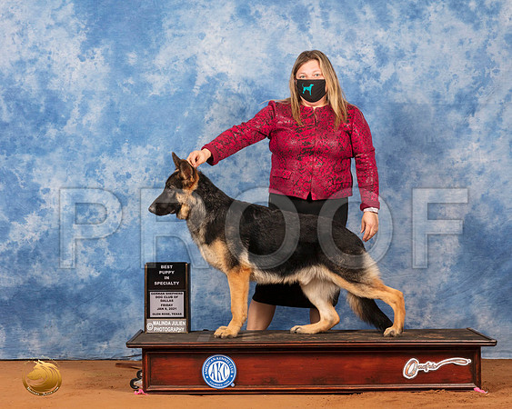German Shepherd Dog #35 Fri BestPup Judge Karen Hynek_SR_6580_GlnRs21_HR3