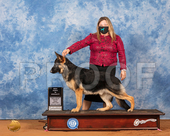 German Shepherd Dog #35 Fri BestPup Judge Karen Hynek_SR_6582_GlnRs21_HR3