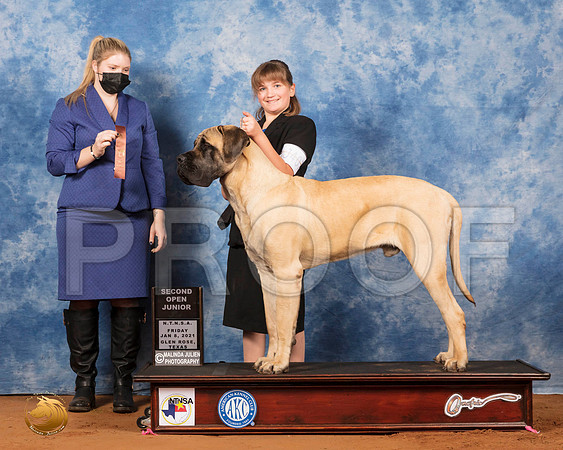 Mastiff #J407 Fri OpnJr2 Judge Ann Claire Lester_SR_6533_GlnRs21_HR3