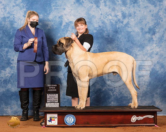 Mastiff #J407 Fri OpnJr2 Judge Ann Claire Lester_SR_6534_GlnRs21_HR3