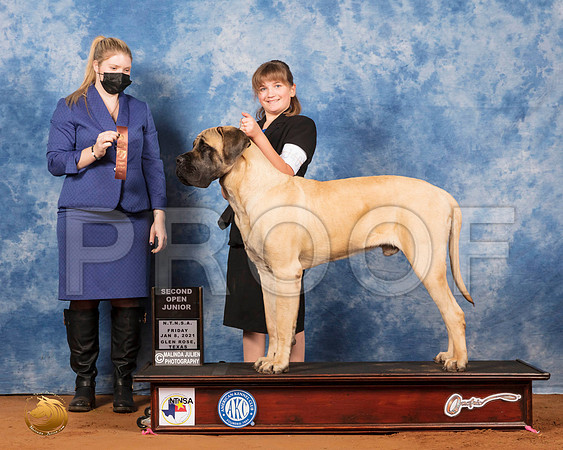 Mastiff #J407 Fri OpnJr2 Judge Ann Claire Lester_SR_6535_GlnRs21_HR3