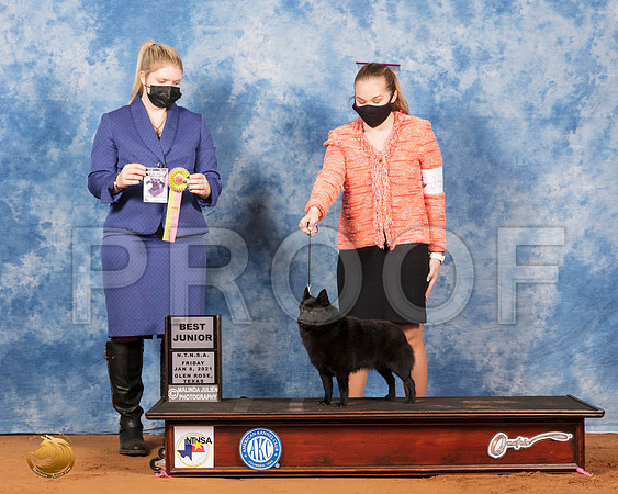 Schipperkee #J605 Fri BJr Judge Ann Claire Lester_SR_6539_GlnRs21_HR3