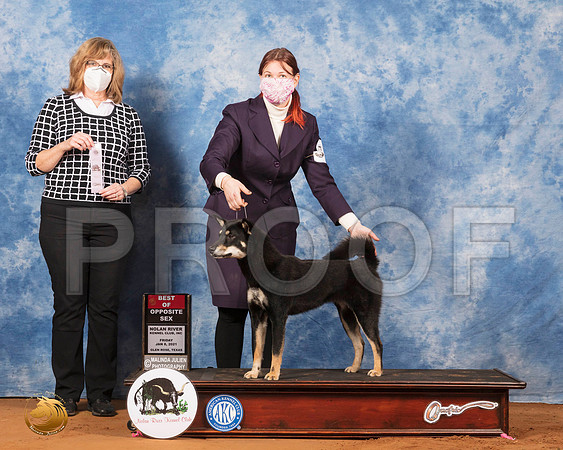 Shikoku #6 Fri BOS Judge Danelle Brown_SR_6561_GlnRs21_HR3
