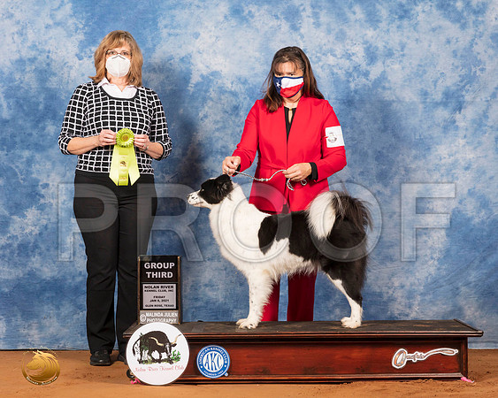 Yakutian Laika #6 Fri OSG3 Judge Danelle Brown_SR_6570_GlnRs21_HR3