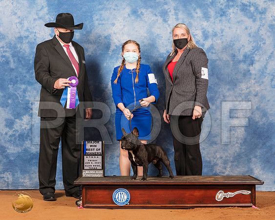 French Bulldog #25 Fri BOWMaj Judge Cledith Wakefield_SR_6607_GlnRs21_HR3