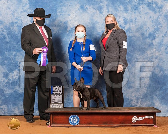 French Bulldog #25 Fri BOWMaj Judge Cledith Wakefield_SR_6608_GlnRs21_HR3