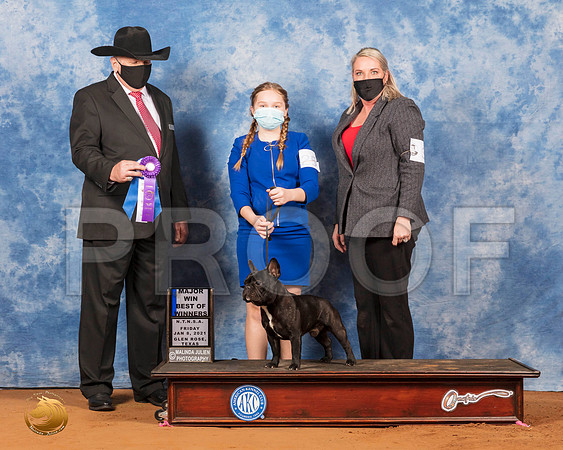 French Bulldog #25 Fri BOWMaj Judge Cledith Wakefield_SR_6609_GlnRs21_HR3