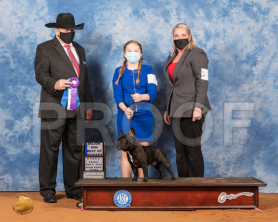 French Bulldog #25 Fri BOWMaj Judge Cledith Wakefield_SR_6611_GlnRs21_HR3