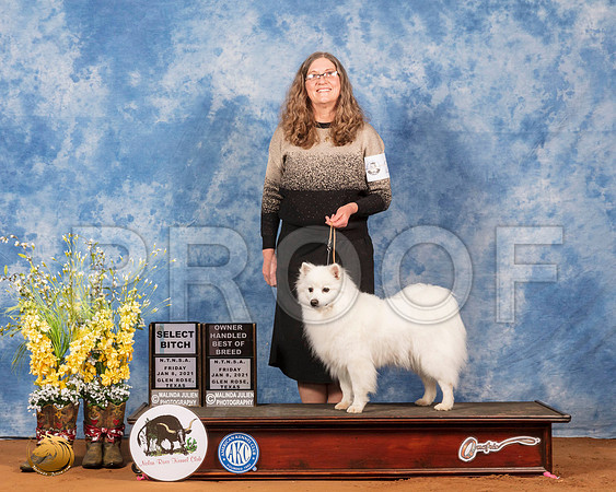 American Eskimo #26 Fri SBOHBOB Judge Inge Semenschin_SR_6671_GlnRs21_HR3