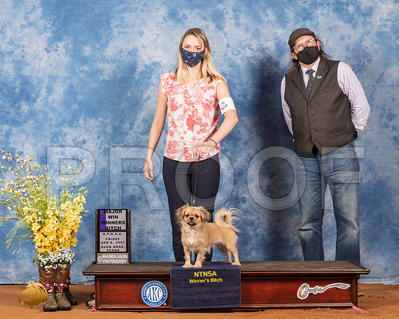 Tibetan Spaniel #10 Fri WBMaj Judge Inge Semenschin_SR_6648_GlnRs21_HR3