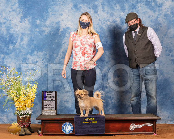 Tibetan Spaniel #10 Fri WBMaj Judge Inge Semenschin_SR_6650_GlnRs21_HR3