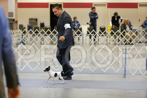 _JJ_1519-AmarilloSept2014-HR3