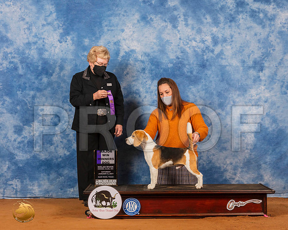 Beagle 15 #5 Sat WDMaj Judge Judith Brown_SR_7004_GlnRs21_HR3