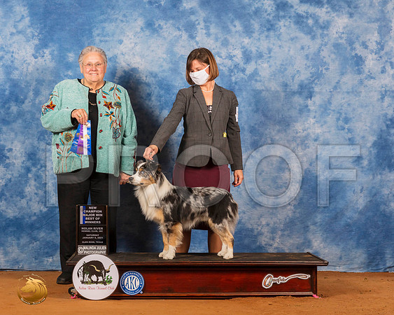 Miniature American Shepherd #15 BOWMaj Judge Denny Mounce_SR_7033_GlnRs21_HR3