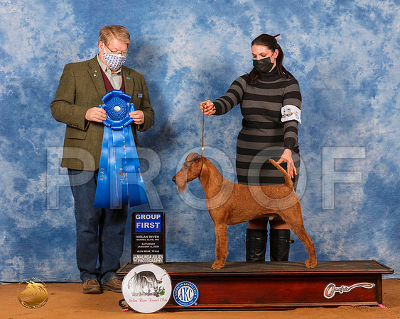 Irish Terrier #5 Sat G1 Judge Harold Tatro_SR_7651_GlnRs21_HR3