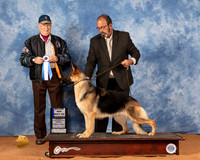 German Shepherd Dog #22 Fri BOW Judge BIll Robinson