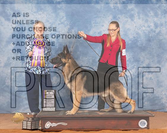 German Shepherd Dog #25 Fri BISS Judge Pat RobinsonMMJ_8537_NRKC2022_HR3