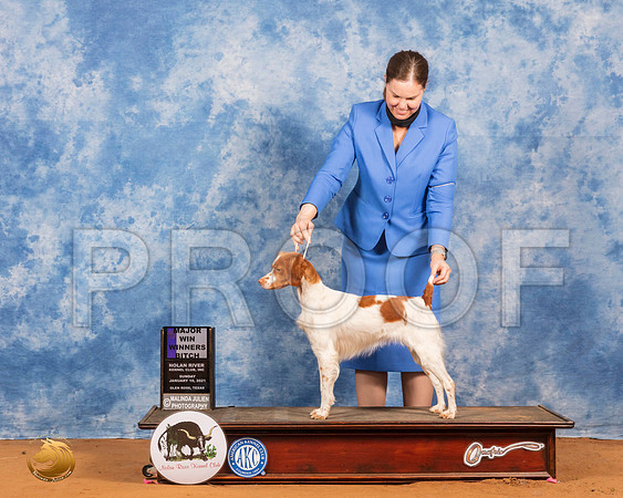 Brittany #18 Sun WB Judge Helen Dorrance_SR_7825_GlnRs21_HR3