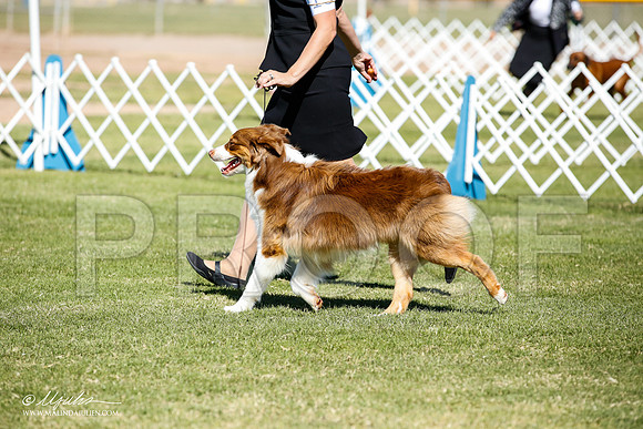 _JN_8631-AlamogordoOct2014-HR3