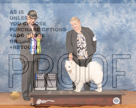 American Eskimo #9 Fri PG3 Judge Johnny ShoemakerMMJ_8747_NRKC2022_HR3