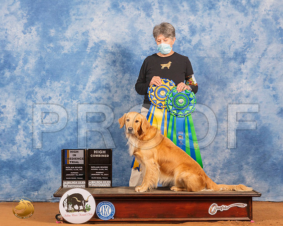 Golden Retriever #23 Sun UB HITHC_SR_8024_GlnRs21_HR3
