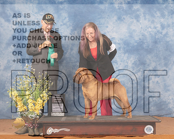 Chinese Shar Pei #11 Fri OHG3 Judge Johnny ShoemakerMMJ_8796_NRKC2022_HR3