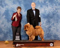 Chow #7 Fri SwG4 Judge Marcia Galiga