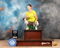 Chinese Crested #8 Fri WBBOS Judge Mary Jane Carberry