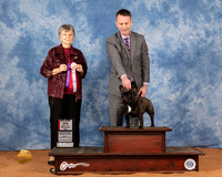 French Bulldog #14 Fri WBBOS Judge Doris Cozart