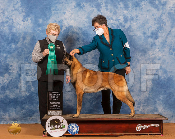 Belgian Malinois #15 Sun OHG3 Judge Judith Brown_SR_8549_GlnRs21_HR3