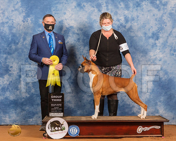 Boxer #28 Sun G3 Judge Carl Liepmann_SR_8479_GlnRs21_HR3