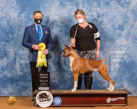 Boxer #28 Sun G3 Judge Carl Liepmann_SR_8481_GlnRs21_HR3