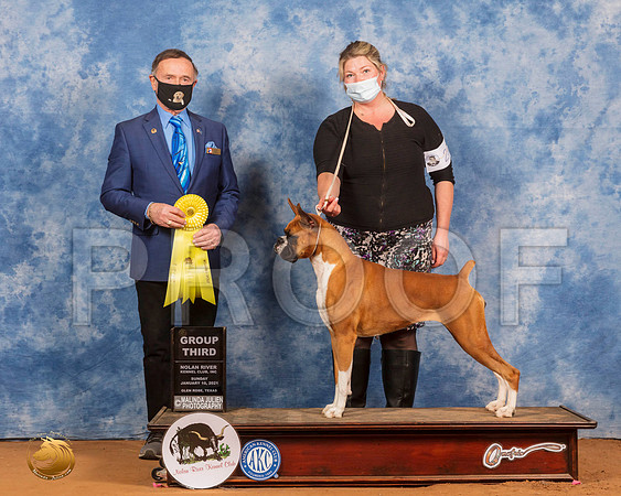 Boxer #28 Sun G3 Judge Carl Liepmann_SR_8482_GlnRs21_HR3