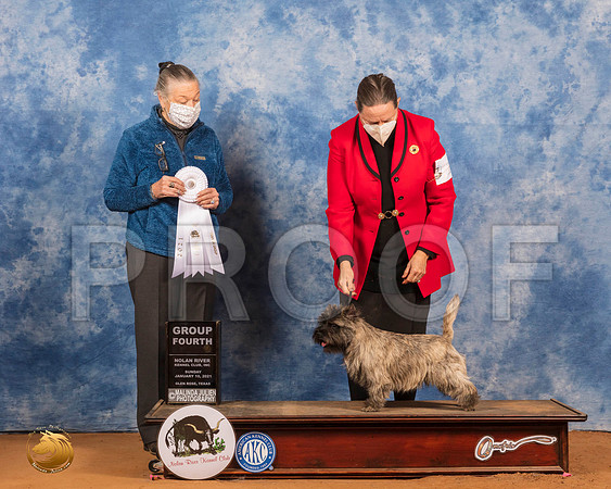 Cairn Terrier #16 Sun G4 Judge Carolyn Herbel_SR_8715_GlnRs21_HR3
