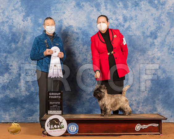 Cairn Terrier #16 Sun G4 Judge Carolyn Herbel_SR_8718_GlnRs21_HR3