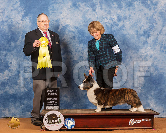Cardigan Welsh Corgi #25 Sun G3 Judge Dr Donald Gill_SR_8641_GlnRs21_HR3