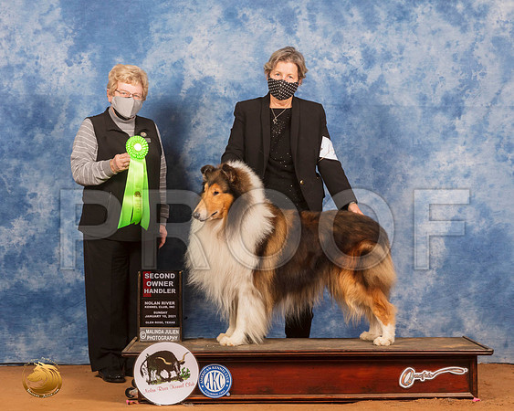 Collie Rough #17 Sun OHG2 Judge Judith Brown_SR_8536_GlnRs21_HR3