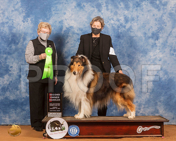 Collie Rough #17 Sun OHG2 Judge Judith Brown_SR_8537_GlnRs21_HR3