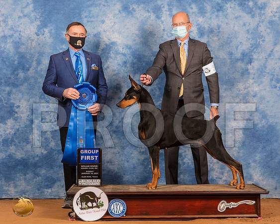 Doberman Pinscher #36 Sun G1 Judge Carl Liepmann_SR_8475_GlnRs21_HR3