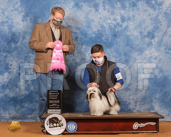 Havanese #6 Sun OHG1 Judge Harold Tatro_SR_8506_GlnRs21_HR3