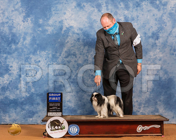 Japanese Chin #7 Sun G1 Judge Tim Robbins_SR_8574_GlnRs21_HR3