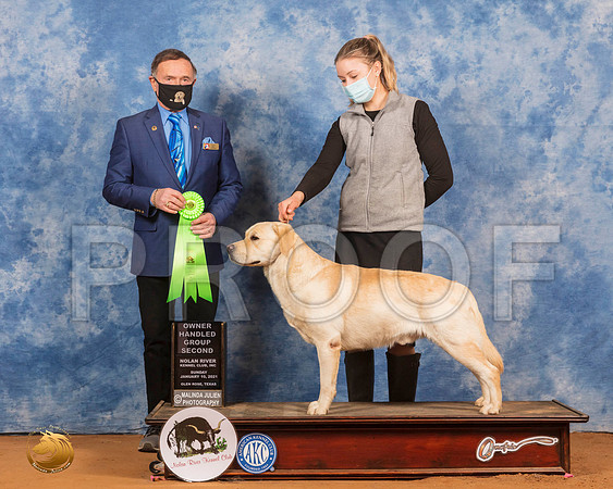 Labrador Retriever #57 Sun Judge Carl Liepmann_SR_8618_GlnRs21_HR3