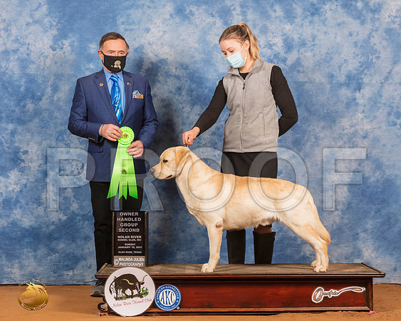 Labrador Retriever #57 Sun Judge Carl Liepmann_SR_8619_GlnRs21_HR3