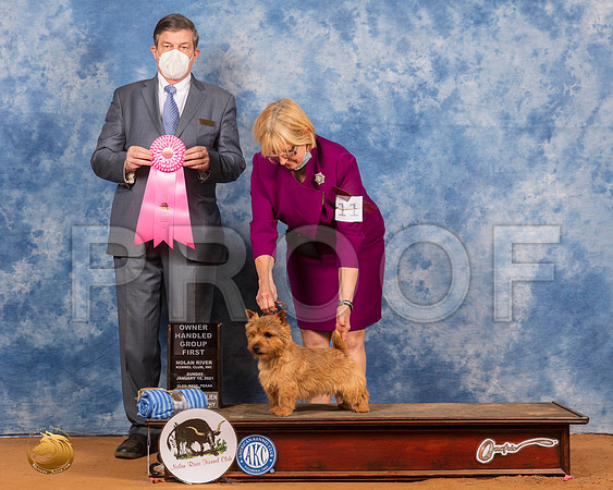 Norwich Terrier #11 Sun OHG1 Judge Jim Fehring_SR_8566_GlnRs21_HR3