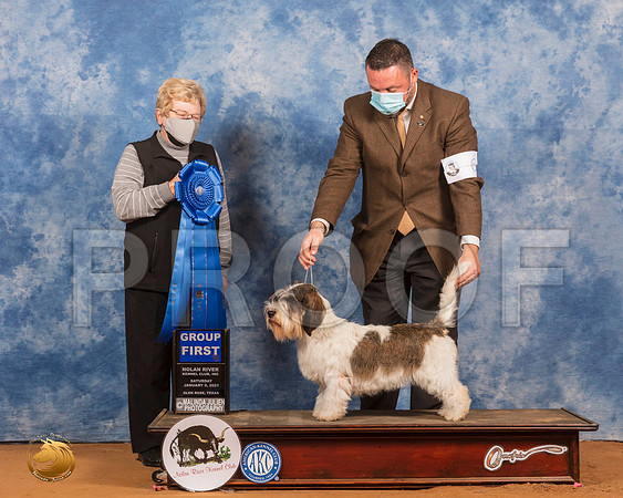 PBGV #6 Sat G1 Judge Judith Brown_SR_8542_GlnRs21_HR3