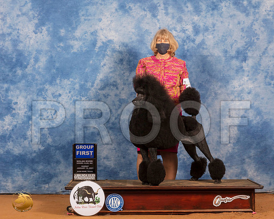 Poodle Std #26 Sun G1 Judge Tim Robbins_SR_8806_GlnRs21_HR3