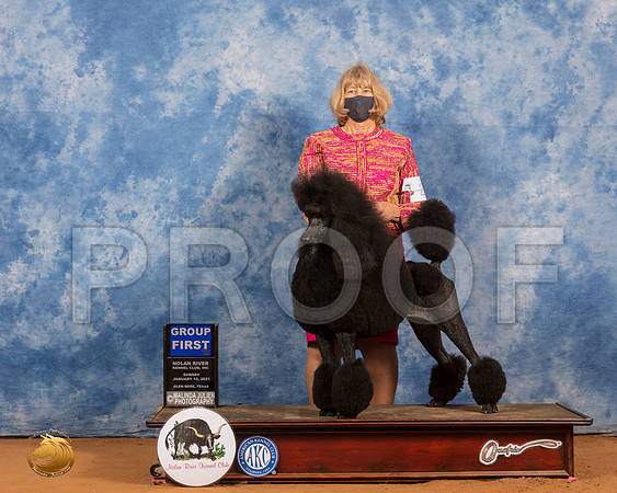 Poodle Std #26 Sun G1 Judge Tim Robbins_SR_8809_GlnRs21_HR3